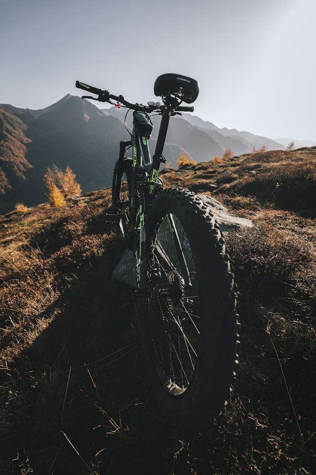 A Vibrant Array of Bicycles 